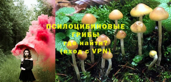 спиды Балахна