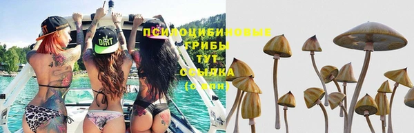 спиды Балахна