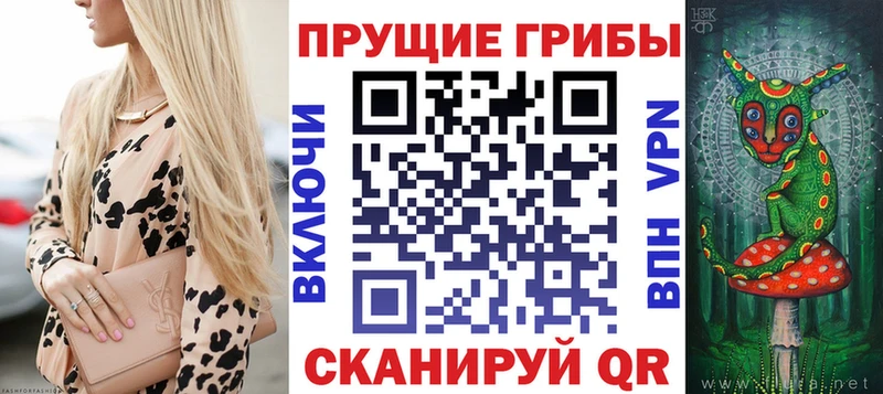 Купить Онега Псилоцибиновые грибы MAGIC MUSHROOMS